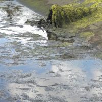 Foto Gildo Lima (Gerente do Piauí)