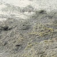 Foto Gildo Lima (Gerente do Piauí)