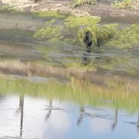 Foto Gildo Lima (Gerente do Piauí)