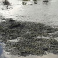 Foto Gildo Lima (Gerente do Piauí)