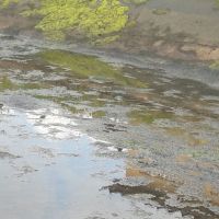 Foto Gildo Lima (Gerente do Piauí)