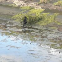 Foto Gildo Lima (Gerente do Piauí)