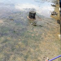 Foto Gildo Lima (Gerente do Piauí)