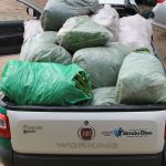 Cras de Simão Dias foi até Lagarto recolher alimentos para levar para o município - Foto Fernando Augusto (Ascom Cohidro)