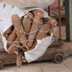 Produtos captados pelas associações são pesados em contabilizados, para determinar o que cada produtor vai receber - Foto Fernando Augusto (Ascom Cohidro)