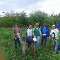 Roberto Ramos, os colegas técnicos e estagiários fazem prática de campo do Balde Cheio em lote do Califórnia - foto arquivo pessoal (7)