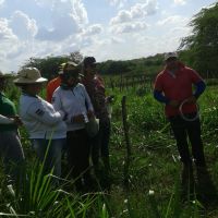 Roberto Ramos, os colegas técnicos e estagiários fazem prática de campo do Balde Cheio em lote do Califórnia - foto arquivo pessoal (11)