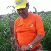 Roberto Ramos, os colegas técnicos e estagiários fazem prática de campo do Balde Cheio em lote do Califórnia - foto arquivo pessoal (11)