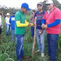Roberto Ramos, os colegas técnicos e estagiários fazem prática de campo do Balde Cheio em lote do Califórnia - foto arquivo pessoal (11)