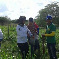 Roberto Ramos, os colegas técnicos e estagiários fazem prática de campo do Balde Cheio em lote do Califórnia - foto arquivo pessoal (7)