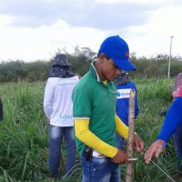 Roberto Ramos, os colegas técnicos e estagiários fazem prática de campo do Balde Cheio em lote do Califórnia - foto arquivo pessoal (7)