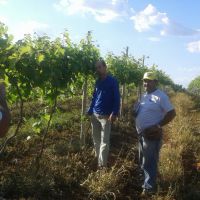 Técnicos da Embrapa e Cohidro no lote de Sidrack - foto arquivo pessoal (2) Técnicos da Embrapa e Cohidro no lote de Sidrack - foto arquivo pessoal (2)