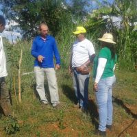 Visita ao lote da pera de João Fernandes - foto arquivo pessoal (6)