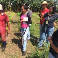 Agroecólogos visitam cultivos orgânicos de José Edmilson - foto arquivo pessoal