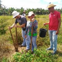 Estudantes fazem a coleta de solos em área de plantio orgânico - foto arquivo pessoal