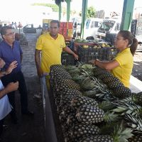 Foto: Marcelle Cristinne (ASN)