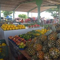 Foto: Marcelle Cristinne (ASN)