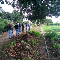 Lotes irrigados são espaço ilimitado para a pesquisa e aplicação técnicas de ciências agrícolas - foto arquivo pessoal