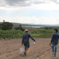 Produtores participam de coleta de solos e aprendem mais de como fazer periodicamente a amostra de solo - foto Fernando Augusto (Ascom-Cohidro)