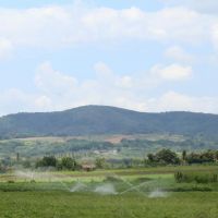 Foto: Jorge Henrique/ASN