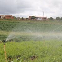 A irrigação da pastagem é crucial para o sistema de manejo de piquetes do 'Balde Cheio' - foto Fernando Augusto (Ascom Cohidro)