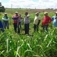 A presença dos técnicos da Cohidro é frequente no projeto piloto do 'Balde Cheio', no perímetro Califórnia - foto Andreia Santtos (Cohidro Califórnia)