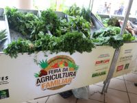 Foto Pritty Reis - Ascom Seidh