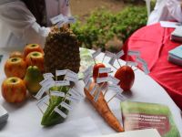 Foto Pritty Reis - Ascom Seidh