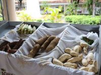 Foto Pritty Reis - Ascom Seidh