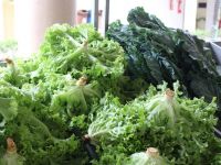 Foto Pritty Reis (SEIAS)