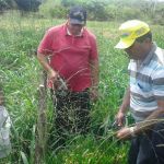 Foto: Arquivo pessoal - Roberto Ramos (Califórnia/Cohidro)
