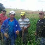 Foto: Arquivo pessoal - Roberto Ramos (Califórnia/Cohidro)