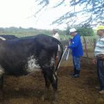 Foto: Arquivo pessoal - Roberto Ramos (Califórnia/Cohidro)