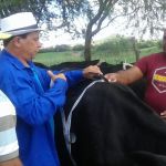 Foto: Arquivo pessoal - Roberto Ramos (Califórnia/Cohidro)