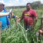 Foto: Arquivo pessoal - Roberto Ramos (Califórnia/Cohidro)