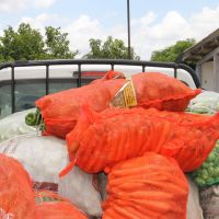 Alimentos são coletados pelas associações para então serem entregues às entidades - Foto Ascom Cohidro