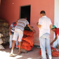 Nas associações os alimentos são pesados para fazer o controle do que foi entregue, para conferência da Conab que fará os pagamentos após cada entrega - Foto Ascom Cohidro