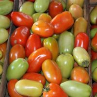 Qualidade e estado de conservação dos produtos doados é constantemente avaliada pelas entidades receptoras - Foto Ascom Cohidro