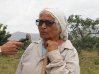 Josefa Santos já estava plantando em seu lote com nova irrigação instalada 15 dias antes, sem nenhum custo para a agricultora - foto Ascom Cohidro