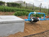 Kit de filtros e registros regula pressão e permite o uso da fertirrigação - adubo diluído, transportado e aplicado na planta pela água - foto Ascom Cohidro