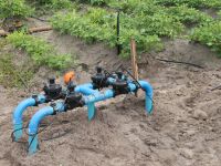 Registros determinam qual parcela do lote receberá irrigação automaticamente, via controlador interligado à peça por cabos elétricos - foto Ascom Cohidro