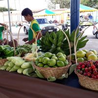 foto arquivo pessoal