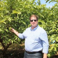 Presidente Carlos Melo visita plantação do cooperado Levi Alves, no perímetro Califórnia - foto Fernando Augusto (Ascom Cohidro)