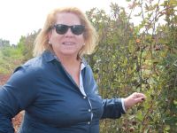 Gerente ELiane Moraes - foto Ascom Cohidro