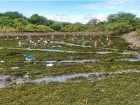 Primeiros mutirões de limpeza dos reservatórios das EBs do Califórnia - foto Edmilson Cordeiro