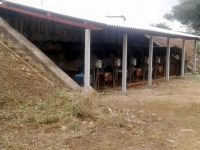 Telhado construído pelos agricultores irrigantes do setor 06 do perímetro Califórnia - foto Tito Reis