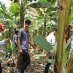 Foto: Isabela Menezes