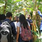 Foto: Isabela Menezes