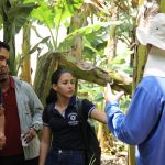 Foto: Isabela Menezes