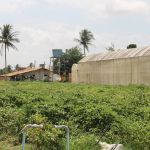 Foto: Isabela Menezes